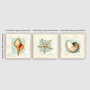 Wallity Conjunto de 3 Pinturas Decorativas en Lienzo Multicolor